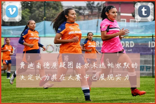费迪南德质疑图赫尔未选帕尔默的决定认为其在大赛中已展现实力