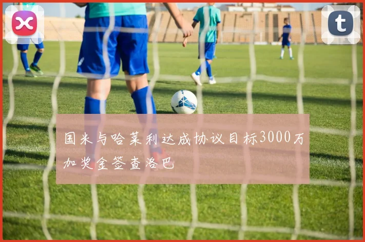 国米与哈莱利达成协议目标3000万加奖金签查洛巴
